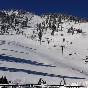 Meet your Posher, Dimitri